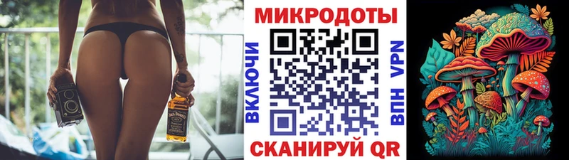 купить наркоту  Малмыж  Галлюциногенные грибы Cubensis 